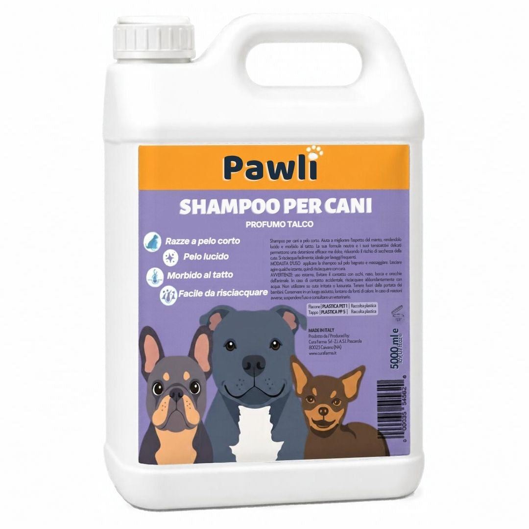 Pawli Shampoo per Cani a Pelo Corto 5 Litri – Profumo Talco – Pelo Lucido e Morbido al Tatto – Facile da Risciacquare – con Proteine del Grano – Formato Professionale – Made in Italy