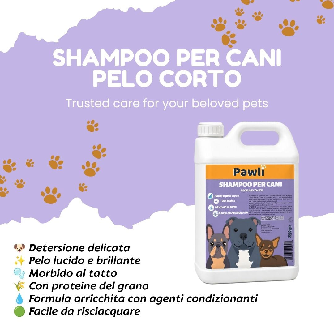 Pawli Shampoo per Cani a Pelo Corto 5 Litri – Profumo Talco – Pelo Lucido e Morbido al Tatto – Facile da Risciacquare – con Proteine del Grano – Formato Professionale – Made in Italy