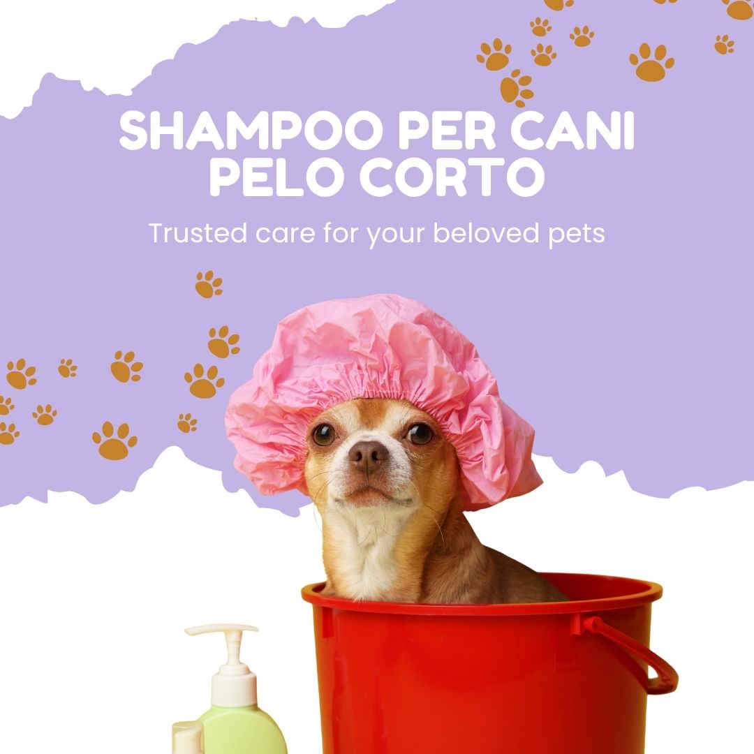 Pawli Shampoo per Cani a Pelo Corto 5 Litri – Profumo Talco – Pelo Lucido e Morbido al Tatto – Facile da Risciacquare – con Proteine del Grano – Formato Professionale – Made in Italy