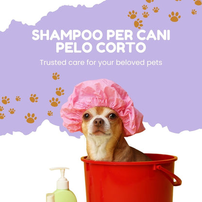 Pawli Shampoo per Cani a Pelo Corto 5 Litri – Profumo Talco – Pelo Lucido e Morbido al Tatto – Facile da Risciacquare – con Proteine del Grano – Formato Professionale – Made in Italy