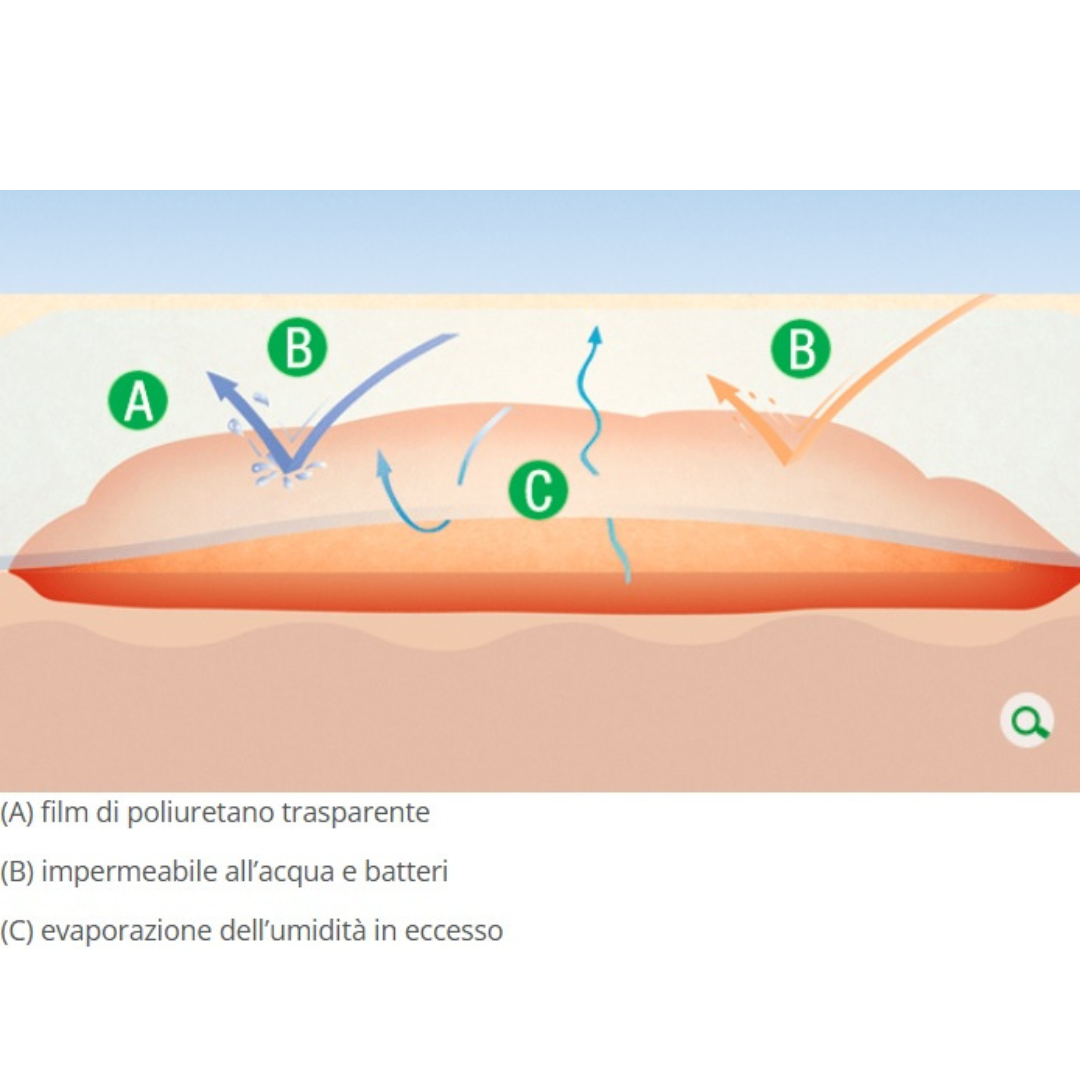 Film Trasparente per Tatuaggi 10 cm x 10 m – Pellicola Autoadesiva Impermeabile Second Skin per Aftercare, Protezione Ferite e Guarigione Accelerata – Rotolo Poliuretano Traspirante Ipoallergenico