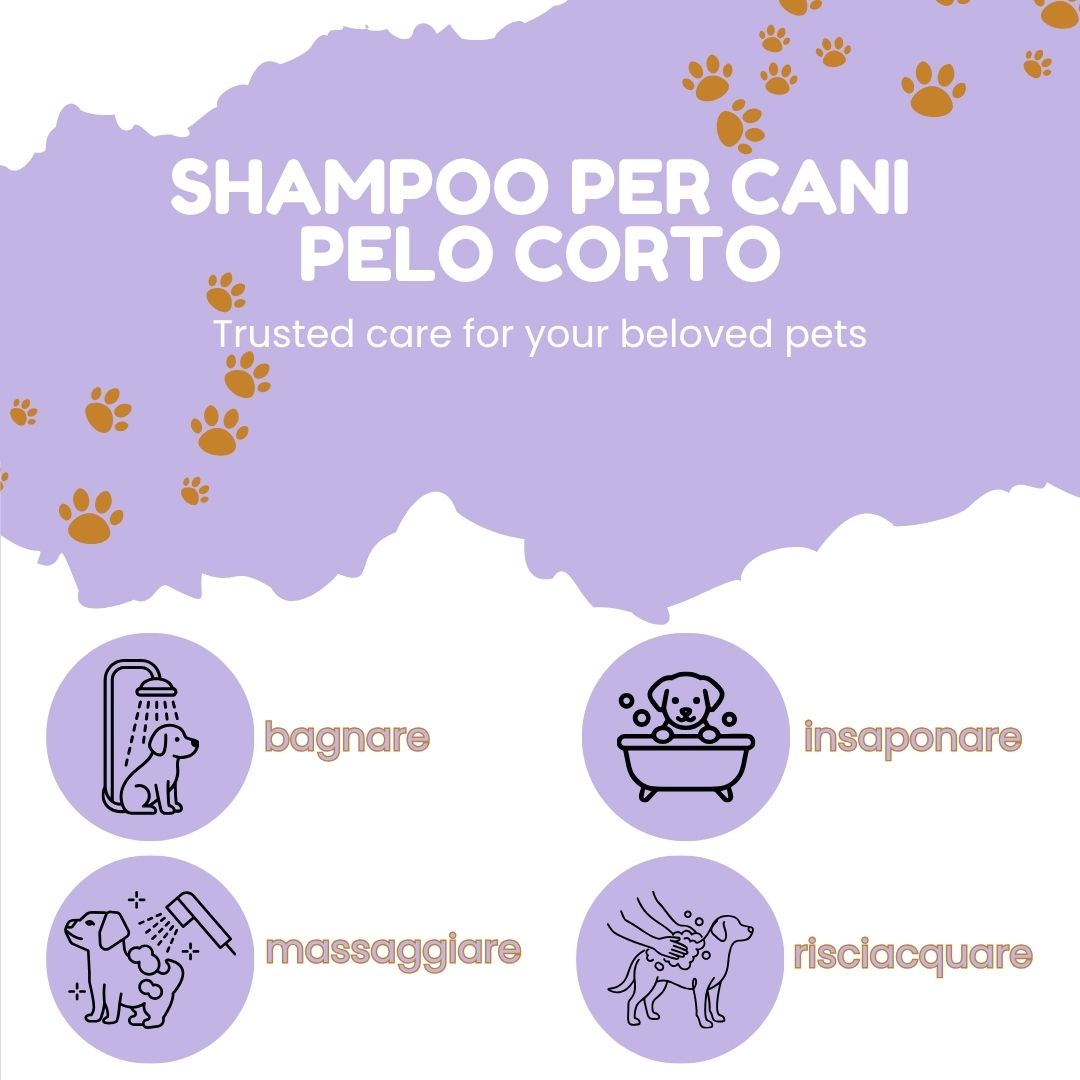 Pawli Shampoo per Cani a Pelo Corto 5 Litri – Profumo Talco – Pelo Lucido e Morbido al Tatto – Facile da Risciacquare – con Proteine del Grano – Formato Professionale – Made in Italy