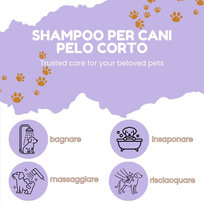 Pawli Shampoo per Cani a Pelo Corto 5 Litri – Profumo Talco – Pelo Lucido e Morbido al Tatto – Facile da Risciacquare – con Proteine del Grano – Formato Professionale – Made in Italy