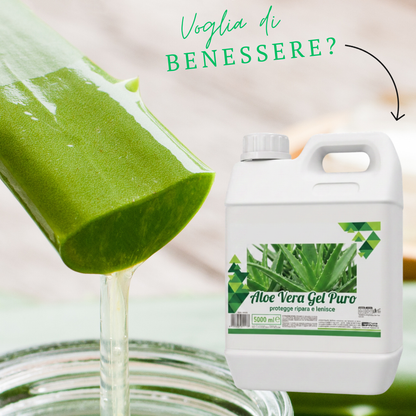 Gel Aloe Vera 5000 ml | Aloe Vera Pura per Viso, Corpo e Dopo Sole | Idratante, Lenitivo e Rinfrescante | Uso Quotidiano | Formato Conveniente